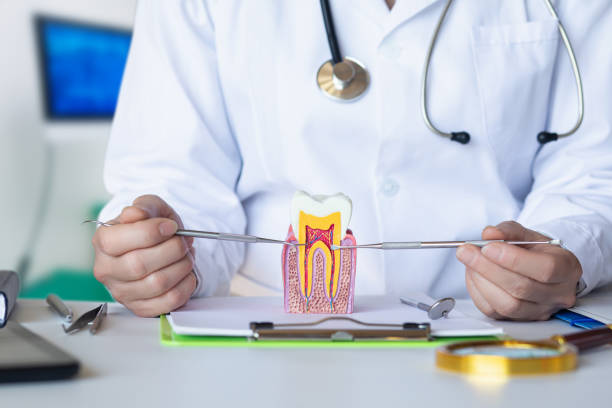 Best Emergency Dentist for Special Needs Patients in Brownsburg, IN